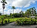 Nani Mau Gardens (2918581424)