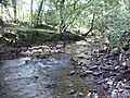 Nant Myddlyn yn LLanilltid Fawrdre