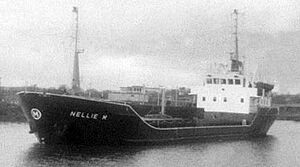 Nellie m