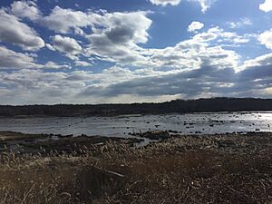 Nissequogue River and Shoreline