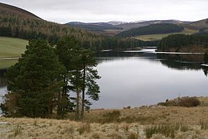Northern end of Backwater Reservoir - geograph.org.uk - 1105159