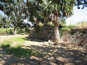 OldSpanishFortWallPalm