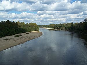 Pittman FL Choctawatchee River near SR 2 bridge north01