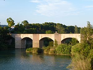 Pont de Santa Quitèria 18.JPG