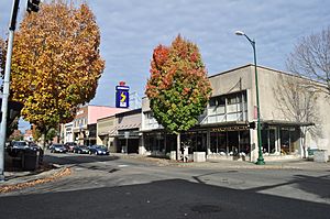 Puyallup, WA - east side of 100 block of S. Meridian 01