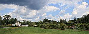 Rose Garden and environs at Elizabeth Park, August 10, 2008