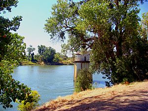 Sacramento River.JPG