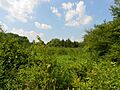 Salem River WMA Wm Smith House