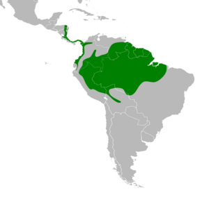 Saltator grossus map.svg