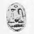 Sewadjenra Scarab Petrie