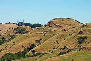 Sibley Volcanic Regional Preserve - Stierch A.jpg