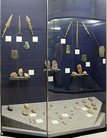 Stone Age arms, National Museum, New Delhi