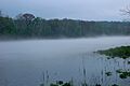 Taneycomo fog