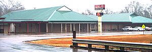 Tangipahoa African-American Heritage Museum 2010Jan16