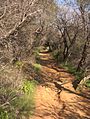 Temescal Canyon Ridge Trail