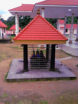 Thalavoor Thrikkonnamarkodu Durga Devi Temple Navagraha Mandapa