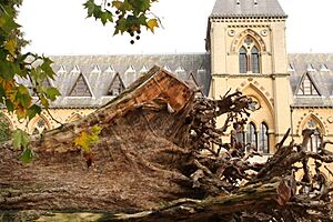 The Oxford University Museum of Natural History, foregrounded by the 'Ghost Forest' installation (Angela Palmer), March 2011