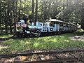 Turtle Back Zoo Railroad July 2019-01