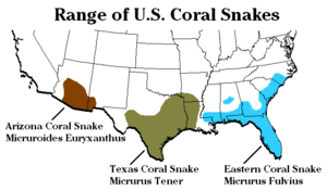 USA Coral Snake Range