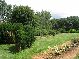 University of Illinois Arboretum - IMG 9484