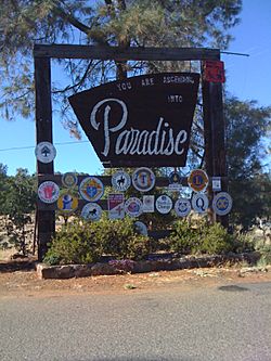 Welcome to Paradise sign in 2011