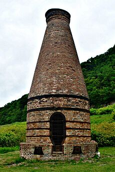 Wellsville Ohio Bottle Kiln 06 2013