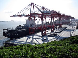 Yangshan-Port-Balanced