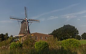 Zwiep, de Zwiepse Molen RM25937 foto6 2015-08-21 18.23