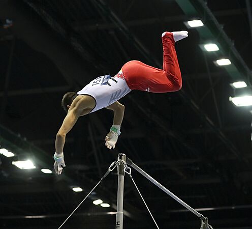 2019-06-30 1st FIG Artistic Gymnastics JWCH Men's Apparatus finals Horizontal bar (Martin Rulsch) 064