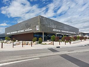 Aéroport de Carcassonne - mai 2024.jpg