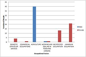 A Graph Showing 1881 Male and Female Occupations in Flowton
