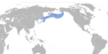 Aethia cristatella map