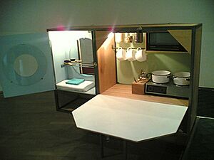 Andrea Zittel - Living Spaces Unit