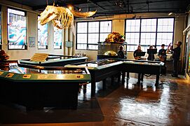 Aquarium in Sitka 