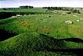 Arbor low 274167 560a8cc3