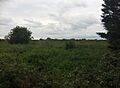 Beddington Roman site