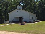 Blue Springs Methodist Church (1890 Wedding Chapel)