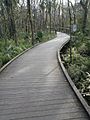 Brooker creek nature walkway