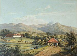 COLLECTIE TROPENMUSEUM De weg van Buitenzorg naar de Preanger Regentschappen TMnr 3728-429c