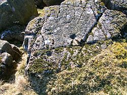 Carlin Crags - upper crag - rock-face 2