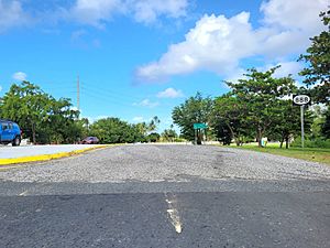 Carretera PR-888, Cataño, Puerto Rico (1)