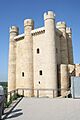 CastilloVDJLeon