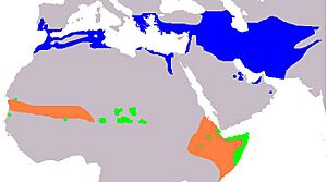 Cercotrichas galactotes distribution2.JPG