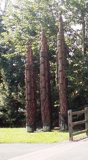 Chestnut columns