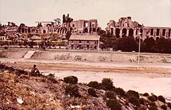 Ruins overlooking the Circus Maximus, seen from the Aventine (1983)