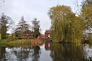 View of millpond upstream of weir, looking toward the Mill building. The Mill building is largely obscured by a very pale yellow-green weeping willow on the right. A small clump of bulrushes and two spindly conifers on the left frame the mill cottage where the restaurant is. The water is placid, and as flat as the proverbial mill-pond. The trees and the building are reflected perfectly in the water, as is the grey and featureless sky.