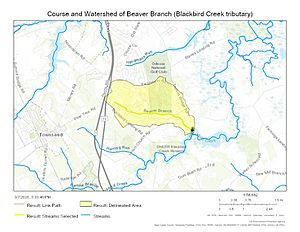 Course and Watershed of Beaver Branch (Blackbird Creek tributary)