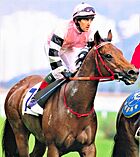 David Harrison aboard Holy Grail after winning the Hong Kong Derby in 1999