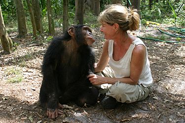 Director Allison Argo on location filming Chimpanzees, An Unatural History