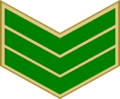 EgyptianArmyInsignia-Sergeant